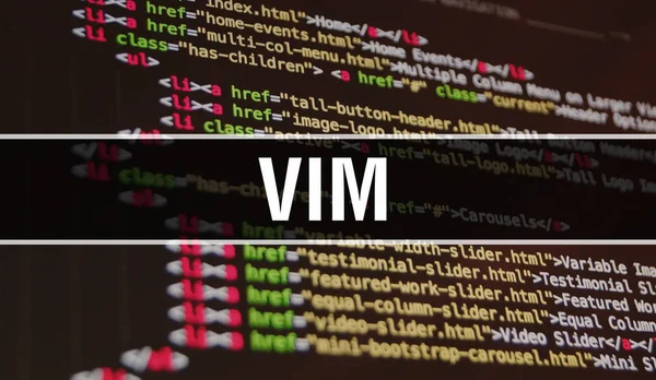 Programlar geliştirmek için kod kullanarak Vim kavram illüstrasyon ve — Stok fotoğraf