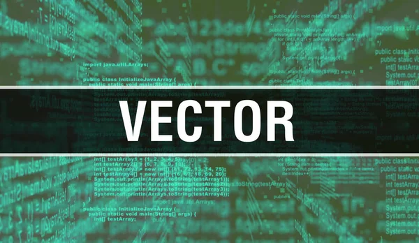 Vector with Digital java code text. Vector and Computer software — Stock Photo, Image