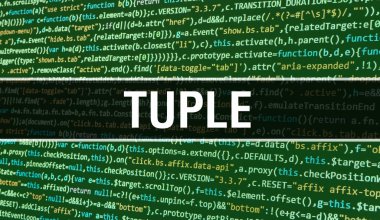 Program Kodunun Rastgele Bölümleri ile Tuple kavramı. Prog ile Tuple
