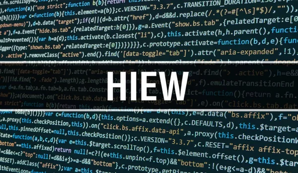 Hiew concept with Random Parts of Program Code. Hiew with Progra — Stock Photo, Image