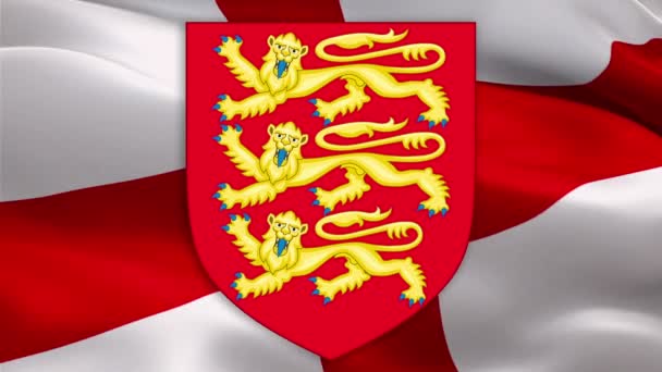 イギリスの国旗にイギリスの王室の紋章 イギリス王室の象徴 イギリス王室旗 イングランドの国旗とイギリスの標識 政治概念 イギリスの国旗5月1日 ロンドン 2020年5月1日 — ストック動画