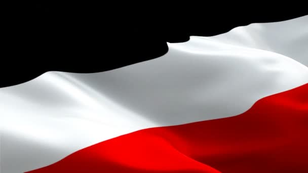 Германская Империя Размахивает Флагом Флаг Третьей Германии Знак Германской Империи — стоковое видео