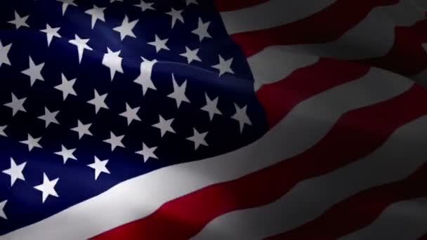 Waving Flag États Unis Amérique États Unis Amérique Agitant Drapeau — Video