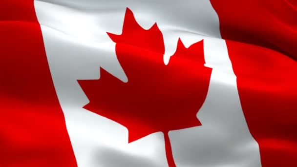 Bandeira Canadense Ottawa 1080P Full 1920X1080 Filmagem Acenando Vento Bandeira — Vídeo de Stock