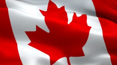 Kanada bayrağı rüzgarda dalgalanıyor. Gerçekçi Kanada Bayrağı geçmişi. Kırmızı akçaağaç yaprağı bayrağı 1080p HD video. Ottawa 1080p Full HD 1920X1080 video dalgalanması. Kanada kusursuz bir video döngüsü.