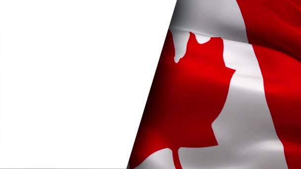 Bandeira Canadense Vídeo Acenando Vento Meio Fundo Branco Para Texto — Vídeo de Stock