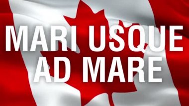 Mari USque Ad Mare Kanada bayrağı üzerine ulusal slogan. Kanada Bayrağı rüzgarda sallanıyor. Kırmızı akçaağaç yaprağı bayrağı 1080p HD video. Kanada Günü Montreal 1080p Full HD 1920X1080 video dalgalanması. Kanada sorunsuz bir video kaydı.