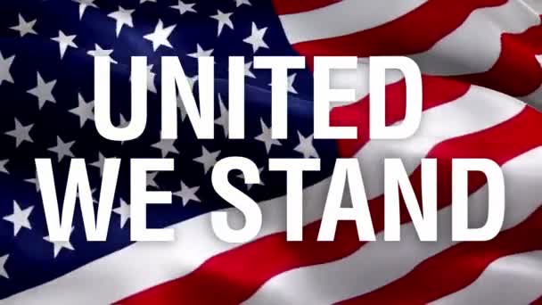 United Stand United States Flag Video Waving Wind United States — Stock Video