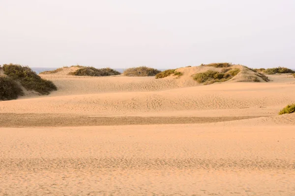 Foto Uma Bela Paisagem Deserto Seco Maspalomas Gran Canaria Ilhas — Fotografia de Stock