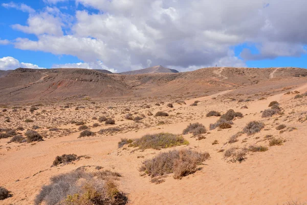 Spaans Uitzicht Landschap Papagayo Playa Blanca Lanzarote Tropische Vulkanische Canarische — Stockfoto