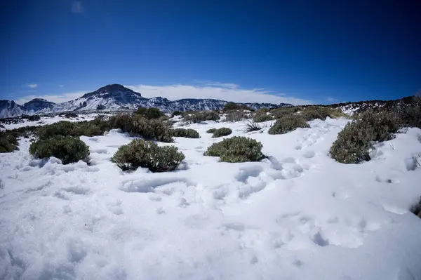 Foto Foto Montaña Cubierta Nieve Teide Tenerife España —  Fotos de Stock