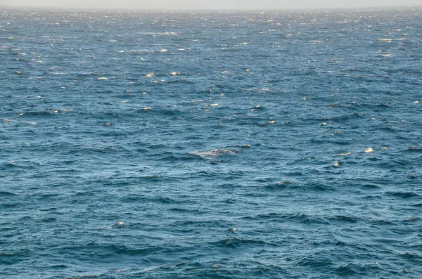 Dalgalı Mavi Durgun Deniz Suyu Doğal Arkaplan Fotoğrafı Dokusu — Stok fotoğraf