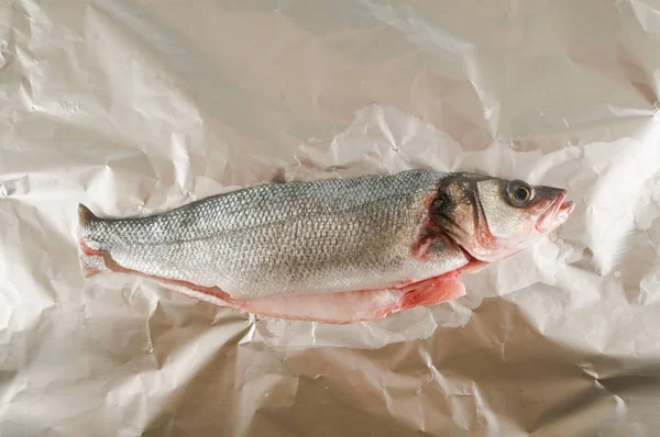 Beyaz Arkaplanda Sea Bass Fotoğrafı — Stok fotoğraf