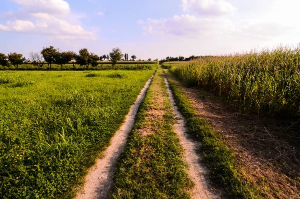 Countryside Dirty Road Going Fields North Italy — Stock Photo, Image