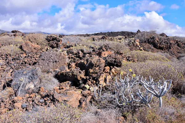 Spanish View Paysage Dans Les Îles Canaries Tropicales Volcaniques Espagne — Photo