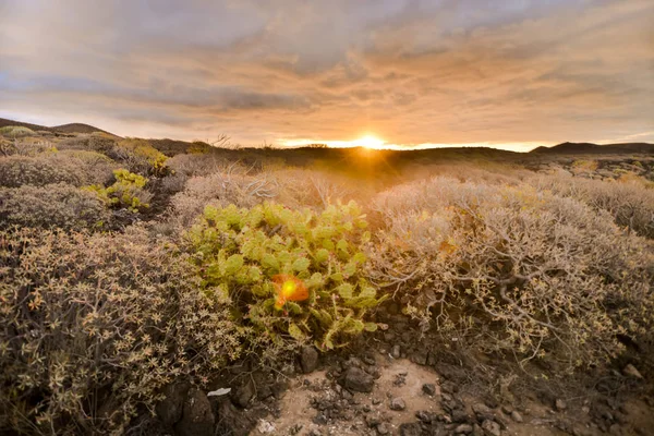 Foto Bild Einer Schönen Trockenen Wüstenlandschaft — Stockfoto