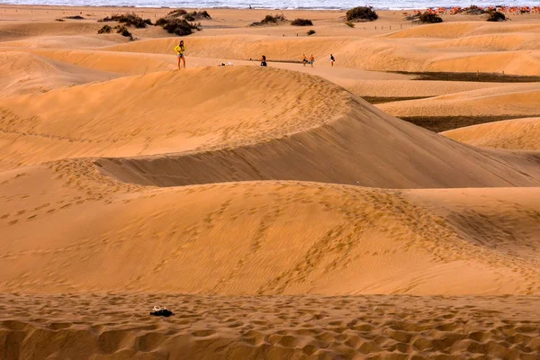 Desierto Con Dunas Arena Maspalomas Gran Canaria España — Foto de Stock