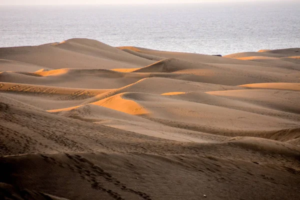 Deserto Con Dune Sabbia Maspalomas Gran Canaria Spagna — Foto Stock