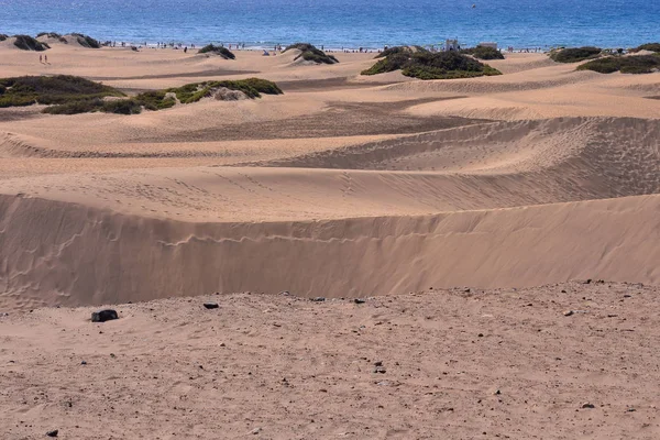 Deserto Com Dunas Areia Maspalomas Gran Canaria Espanha — Fotografia de Stock