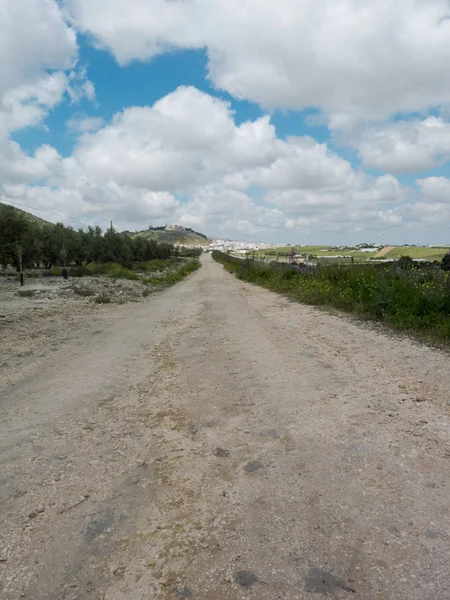 Photo Picture Dirt Road Leading Desert — Stock Photo, Image