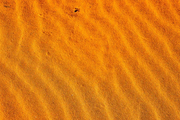 Фото Пустыни Песчаная Дюна — стоковое фото