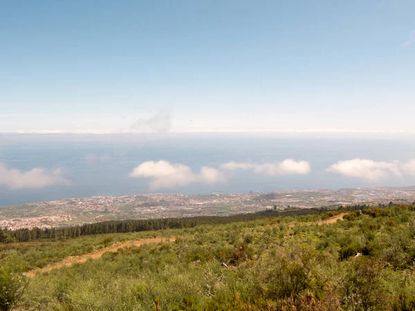 Puerto Cruz Tenerife Kanarya Adaları Spanya — Stok fotoğraf