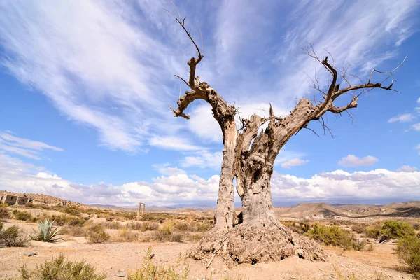 Vista Del Desierto Tabernas Provincia Almería España — Foto de Stock