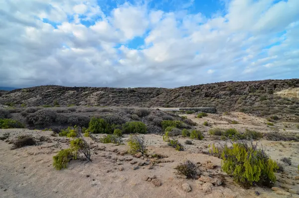 Volcanic Rock Basaltic Formation Canary Islands — Stock Photo, Image