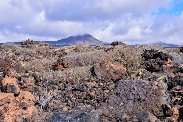 Spanish View Landscape Tropical Volcanic Canary Islands Spain — Stock Photo, Image