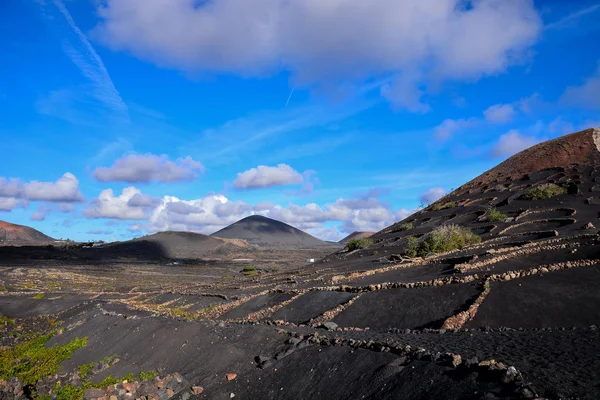 西班牙Lanzarote Geria热带火山加那利群岛的西班牙观景葡萄园景观 — 图库照片