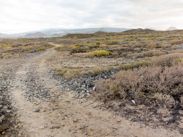 Foto Una Valle Nelle Isole Canarie — Foto Stock