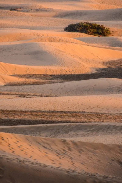 Deserto Com Dunas Areia Maspalomas Gran Canaria Espanha — Fotografia de Stock