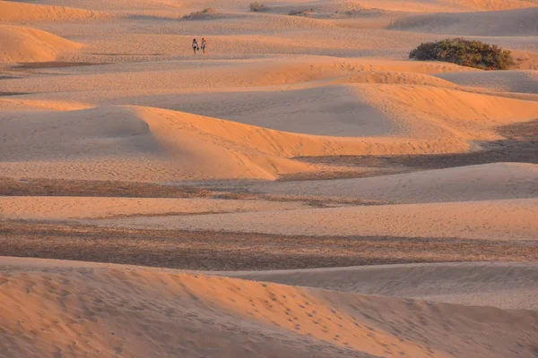 Deserto Com Dunas Areia Maspalomas Gran Canaria Espanha — Fotografia de Stock