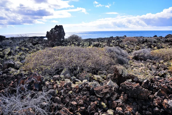 Spagnolo Panorama Delle Isole Canarie Tropicali Spagna — Foto Stock