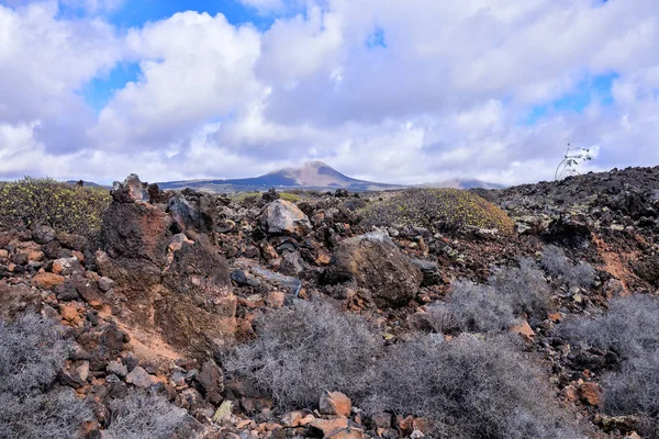 Spanish View Landscape Tropical Volcanic Canary Islands Spain — Stock Photo, Image