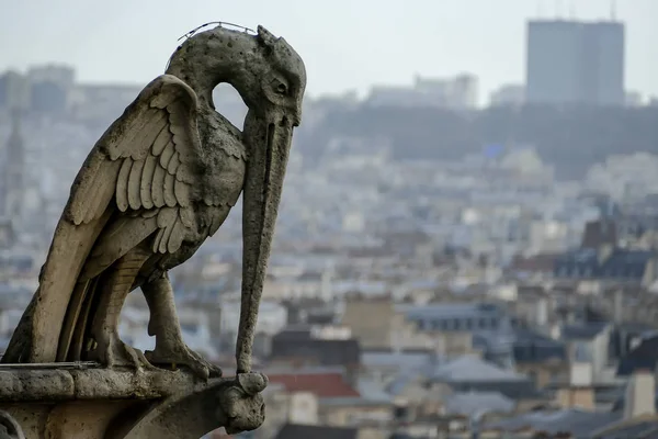 Foto Bild Ein Schöner Rundblick Auf Paris City — Stockfoto