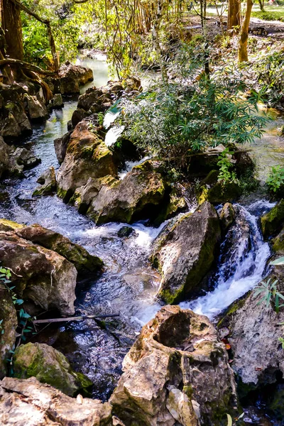 Tayland Güneydoğu Asya Güzel Bir Fotoğraf Çekilmiştir — Stok fotoğraf