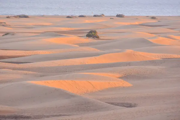 Deserto Com Dunas Areia Maspalomas Gran Canaria Espanha — Fotografia de Stock