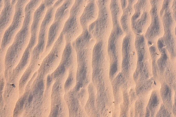 Photo Picture Texture Sand Dune Desert — Stock Photo, Image