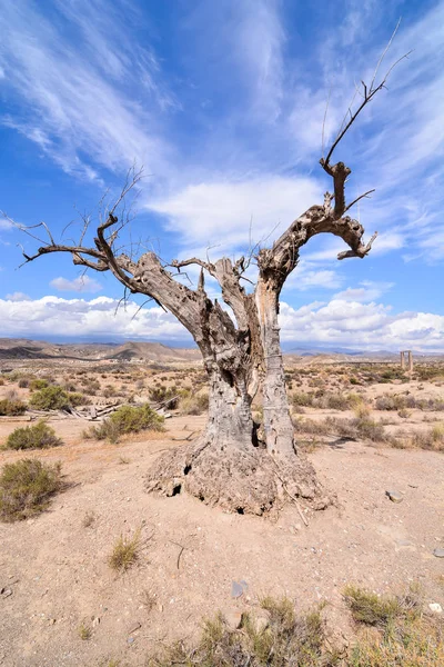 Veduta Delle Tabernacoli Del Deserto Nella Provincia Almeria Spagna — Foto Stock