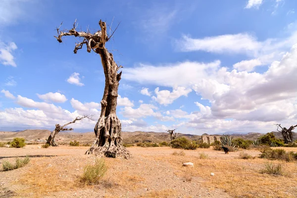 Veduta Delle Tabernacoli Del Deserto Nella Provincia Almeria Spagna — Foto Stock