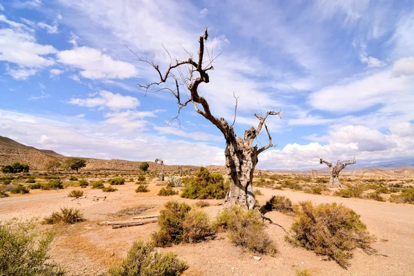 Foto Imagen Hermoso Paisaje Seco Del Desierto — Foto de Stock