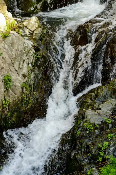 Wasserfall Wald Foto Digitales Bild — Stockfoto