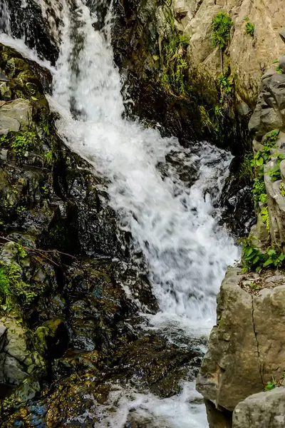 Wasserfall Wald Foto Digitales Bild — Stockfoto