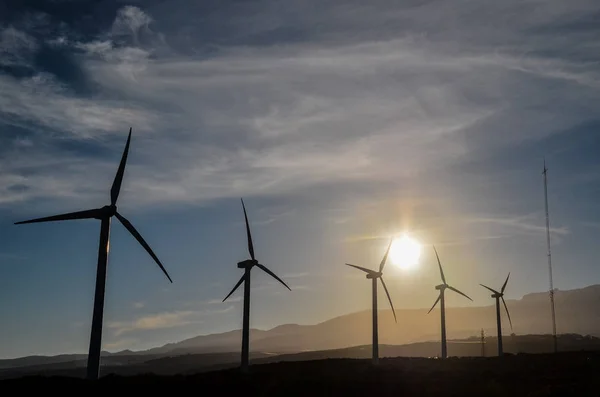 Концепция Возобновляемых Источников Энергии Windmil Ферма Закате — стоковое фото