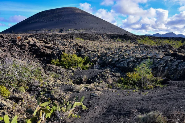 西班牙Lanzarote Geria热带火山加那利群岛的西班牙观景葡萄园景观 — 图库照片