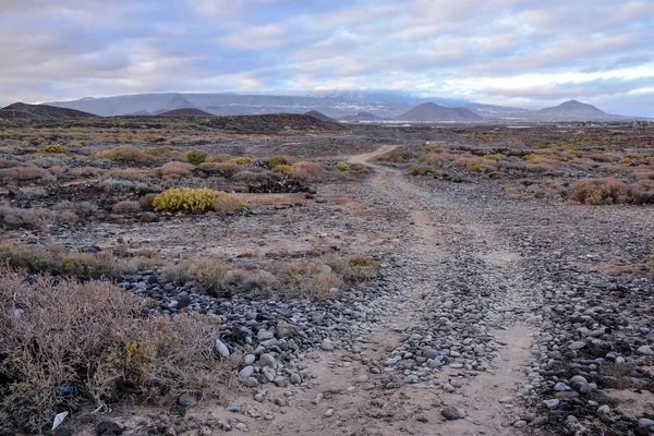 Foto Dirt Road Vedoucí Pouště — Stock fotografie