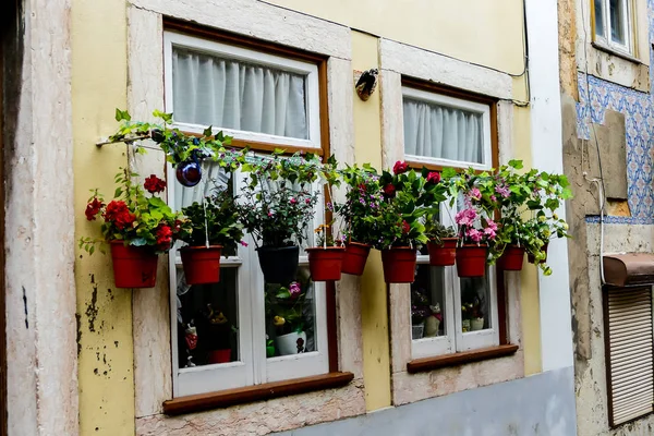 Balkon Çiçekleri Güzel Fotoğraf Dijital Resim Ile — Stok fotoğraf