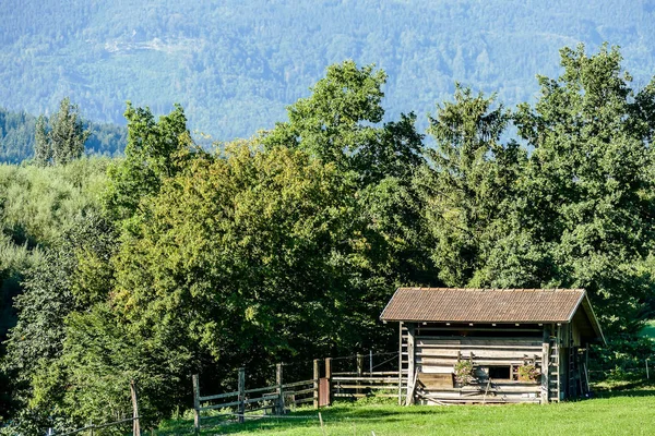 Ház Erdőben Gyönyörű Fotó Digitális Kép — Stock Fotó