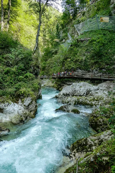 Vodopád Lese Krásný Digitální Foto — Stock fotografie